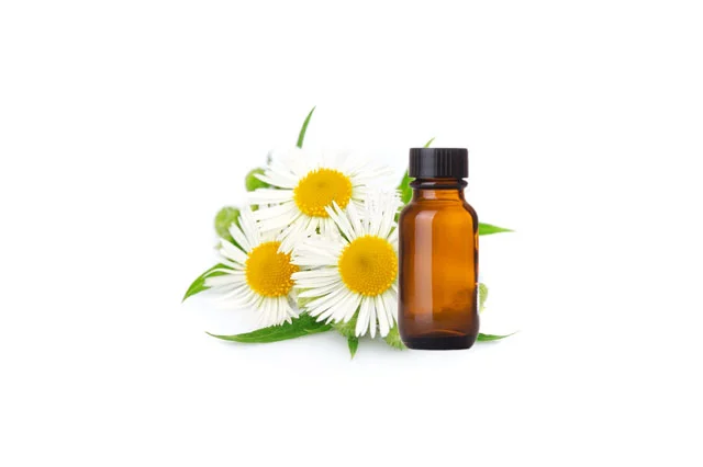 Chamomile oil