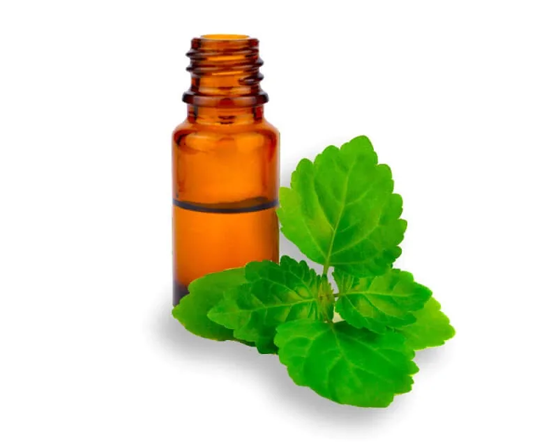 Patchouli oil