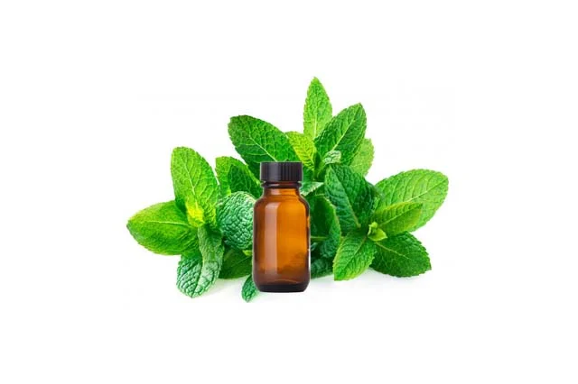 Spearmint oil