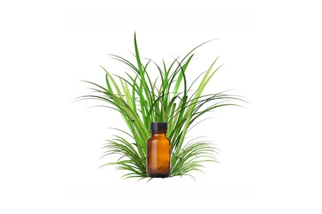Vetiver oil